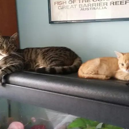 I Tetti Di לינה וארוחת בוקר