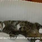 לינה וארוחת בוקר I Tetti Di