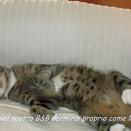 I Tetti Di