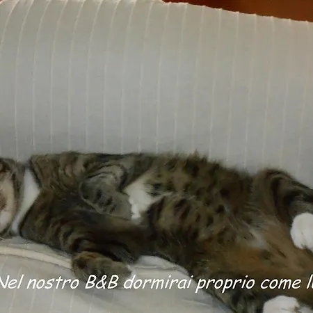 Couette-café I Tetti Di