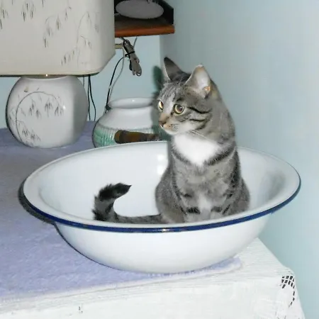 I Tetti Di 4* サッサリ