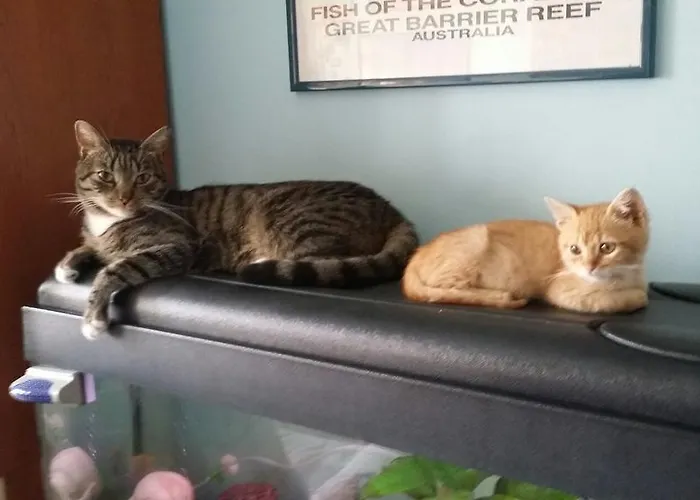 I Tetti Di Bed & Breakfast