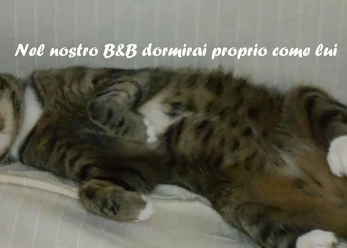 I Tetti Di 4* Sassari