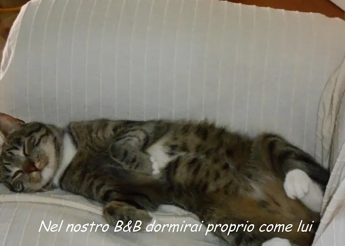 Bed & Breakfast I Tetti Di