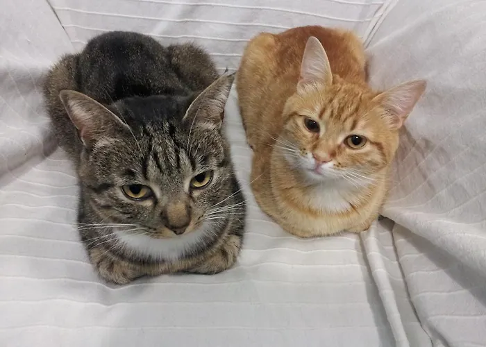 I Tetti Di Bed & Breakfast 4*