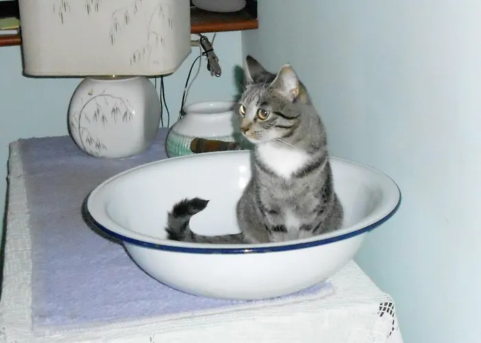 I Tetti Di 4* Sassari